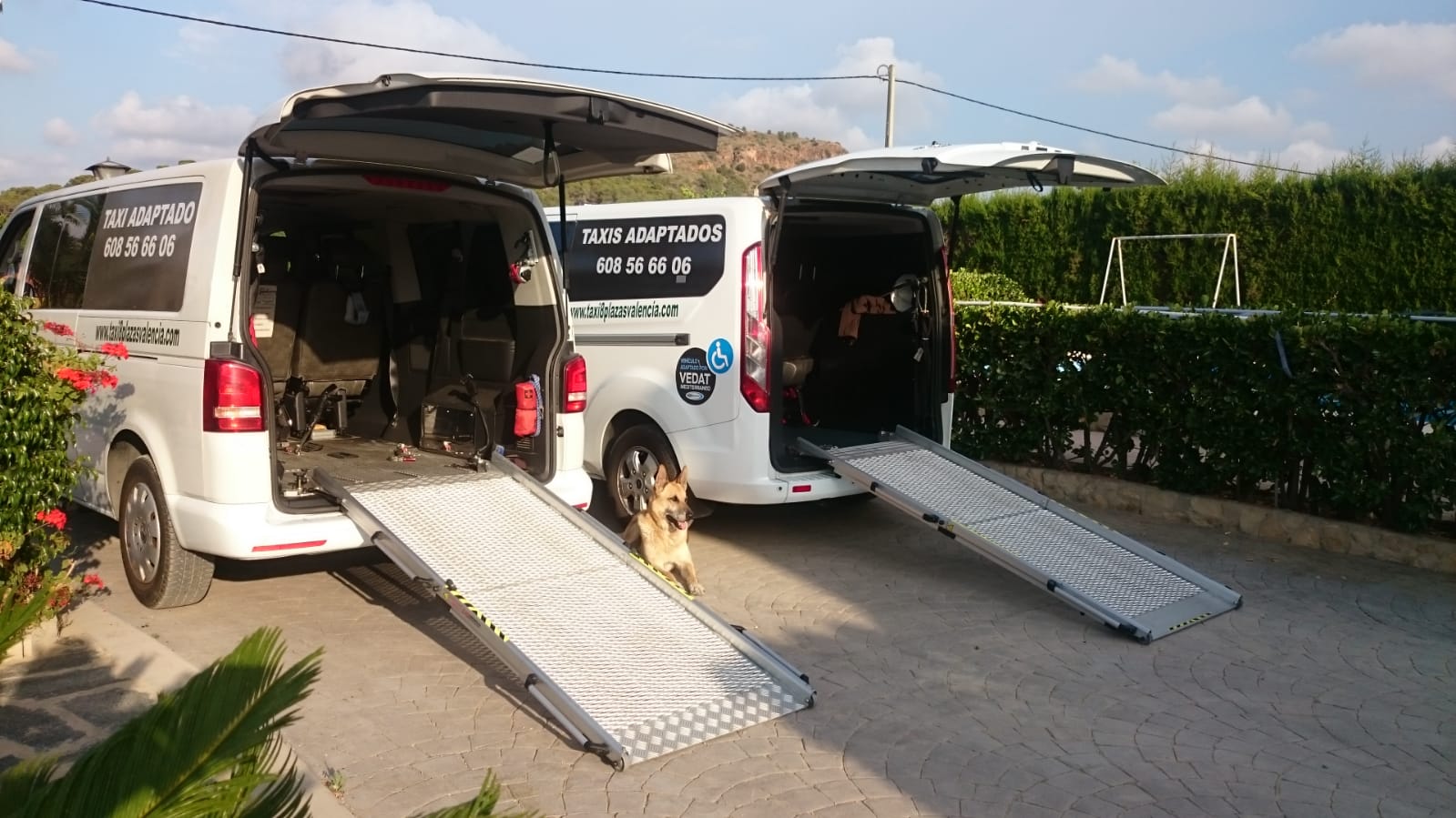taxis adaptados con las rampas desplegadas